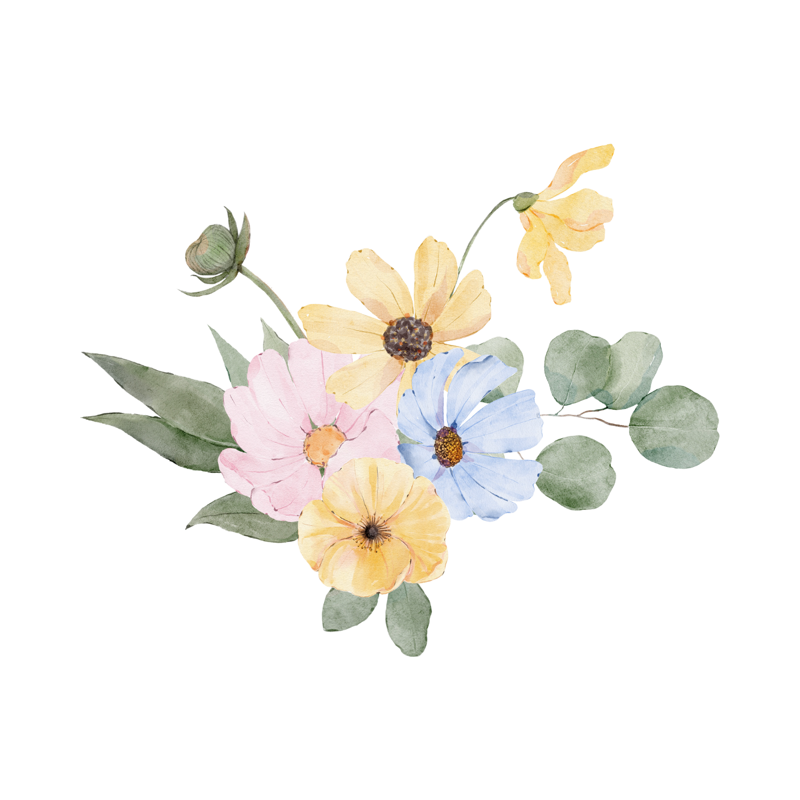 Descripción de la imagen