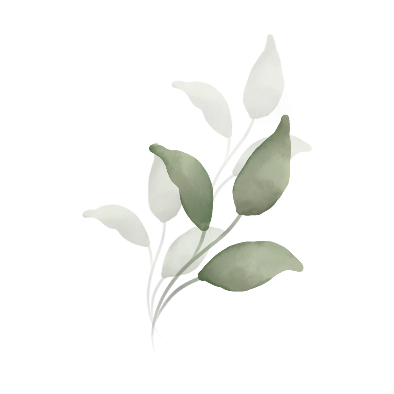 Decoración Izquierda